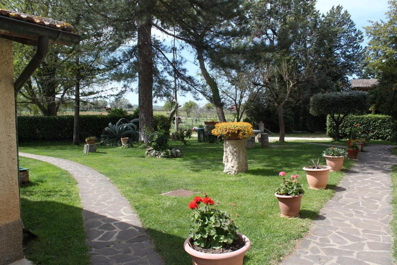 Agriturismo Il Capannone Montemerano Extérieur photo
